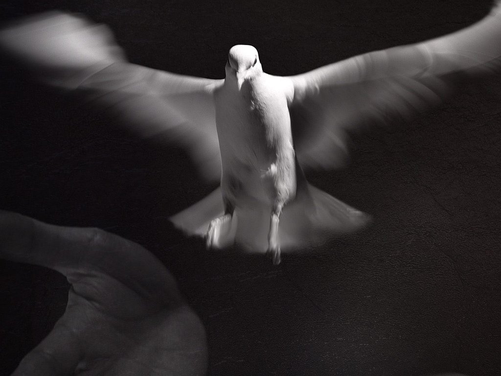 Freedom of Spirit
